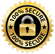 100-secure icon